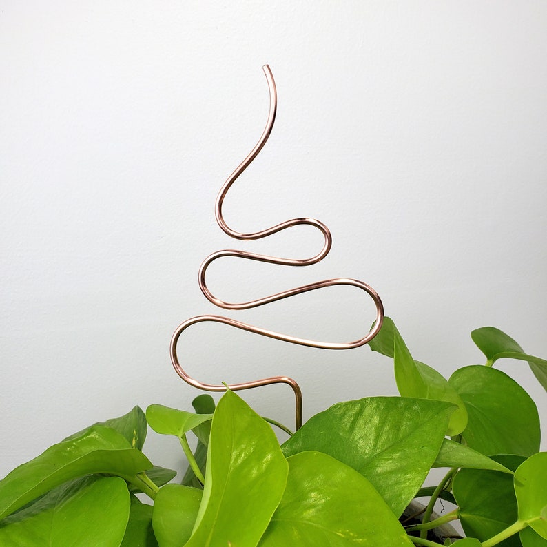 Copper plant stake, indoor plant accessories, hoya trellis, decorative garden support stakes, plant mom gifts image 3