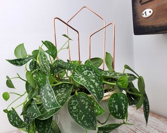 Arch trellis for indoor plants, copper houseplant plant support, plant mom gifts