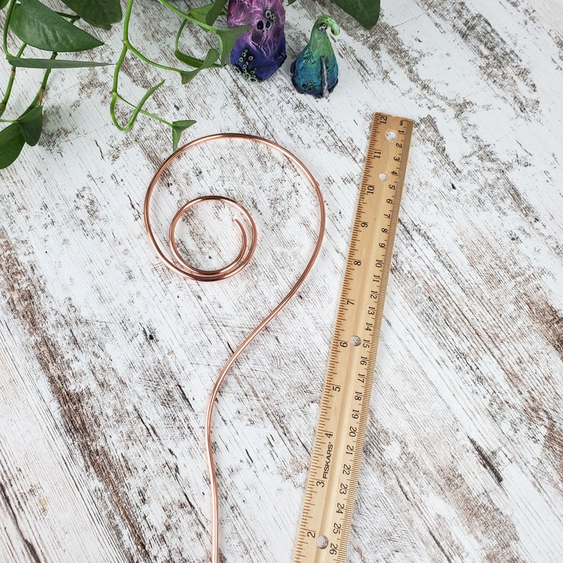 Copper swirl indoor plant stake, houseplant stem and vine support, modern metal trellis, plant gift ideas image 8