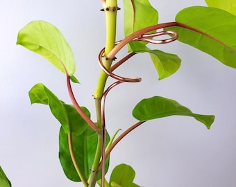 Copper Plant Support Stake, Houseplant Accessories, Tall Stem Supports