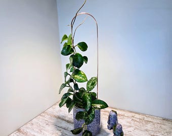 Copper Plant Trellis, Plant Support, Vine Styling, Garden Decor, Houseplant Gifts