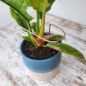 Plant supports, copper plant stakes, indoor plant accessories, garden stakes, monstera stake, gardener gifts