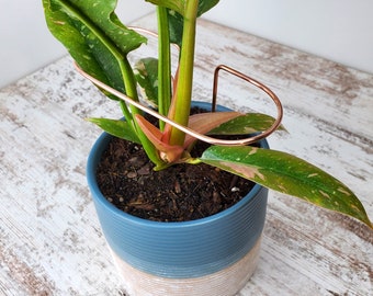 Plant supports, copper plant stakes, indoor plant accessories, garden stakes, monstera stake, gardener gifts