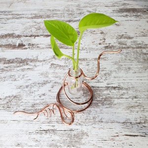 Plant propagation station glass vase, copper plant accessories, indoor gardening, plant lover gifts