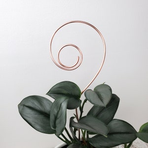 Copper swirl indoor plant stake, houseplant stem and vine support, modern metal trellis, plant gift ideas image 1