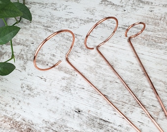 Set of 3 copper plant stake, modern indoor monstera & philodendron accessories, plant gifts
