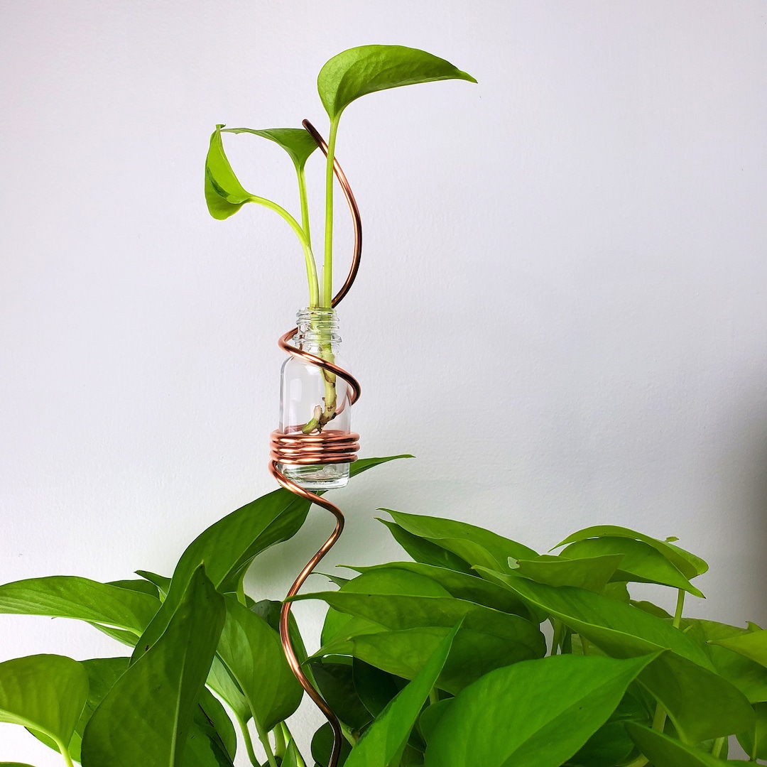 Copper and Glass Propagation Station Plant Stake for Pots and Planters