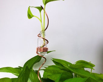Station de multiplication, piquet de plante en cuivre, propagation de boutures de plante d'intérieur dans l'eau, décoration minimaliste et moderne, cadeau plante maman