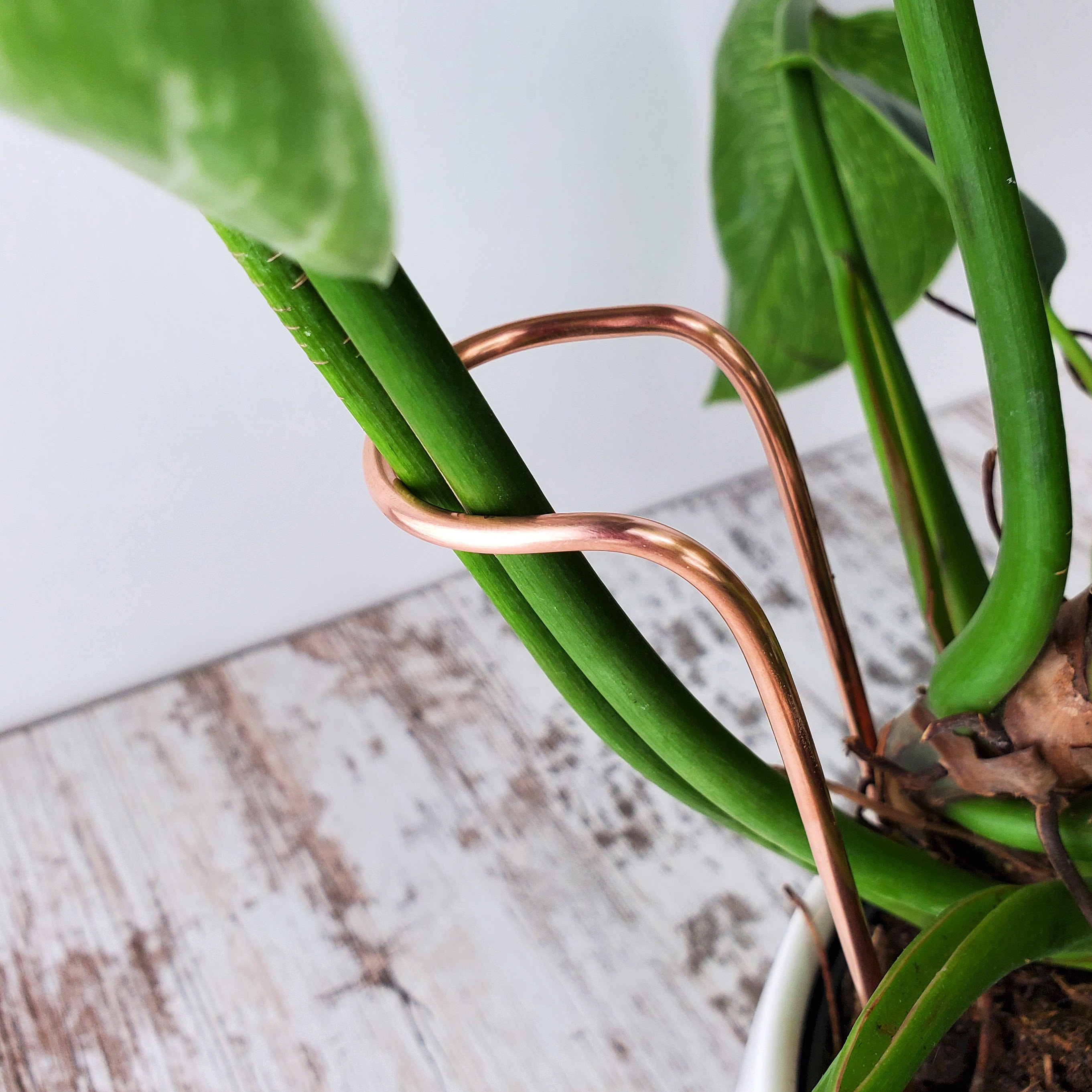 Plant Support Stake, Stem Holder for Leaning Plants, Indoor Copper