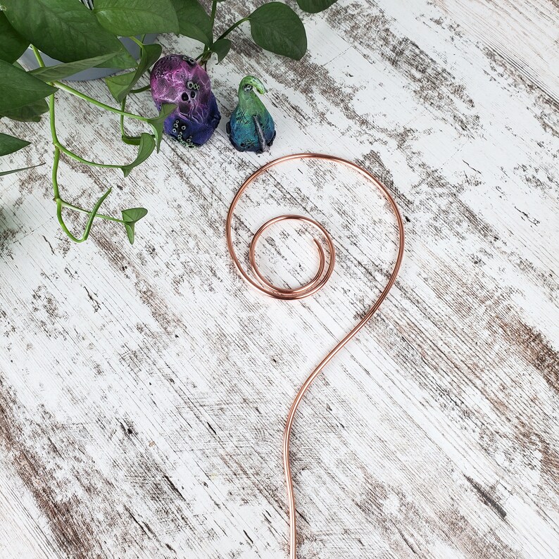 Copper swirl indoor plant stake, houseplant stem and vine support, modern metal trellis, plant gift ideas image 7