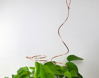 Copper plant stake houseplant support stick, metal trellis and garden stake, monstera pole alternative, plant mom gifts
