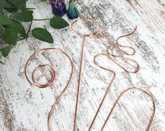 Copper Trellis Plant Stake Set for Decorative Houseplant Support