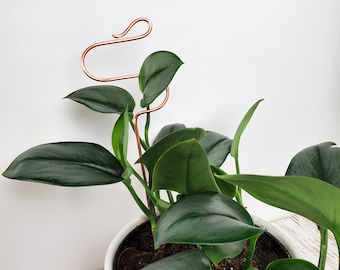 Copper Plant Trellis Stake Metal Houseplant Support Stick