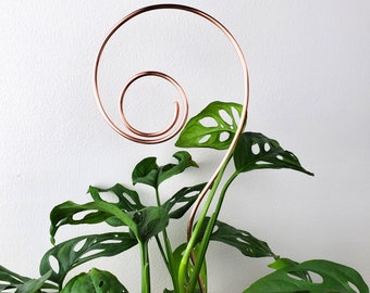 Plant Trellis, Decorative Copper Houseplant Stake, Hoya Support, Metal Garden Stick, Mothers Day Gifts