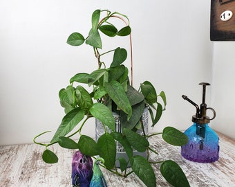 Copper Arch Plant Trellis, Houseplant Support Accessories, Gardening Design
