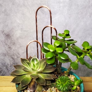 May include: A copper plant stand with three tiers, featuring a succulent plant with green leaves and a smaller succulent plant with green leaves in a blue pot.