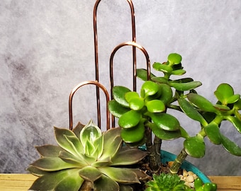 Indoor plant trellis, copper plant stake, hoya arch trellis, dish garden accessories, plant mom gifts
