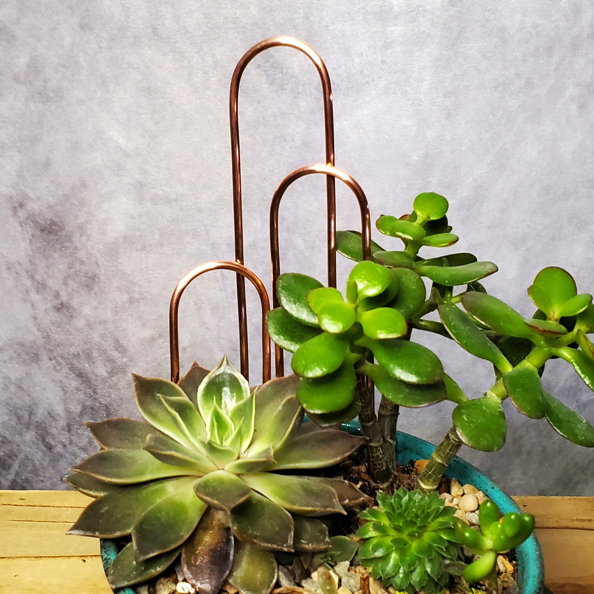 Indoor plant trellis, copper plant stake, hoya arch trellis, dish garden accessories, plant mom gifts