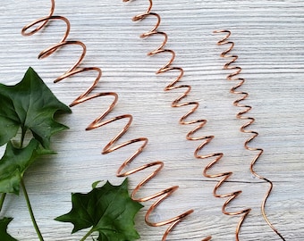 Electroculture Plant Stake Copper Coil for Vegetable and Flower Gardens