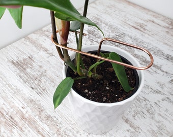 Soporte para plantas, 4 diseños, estacas de cobre, soportes para tallos