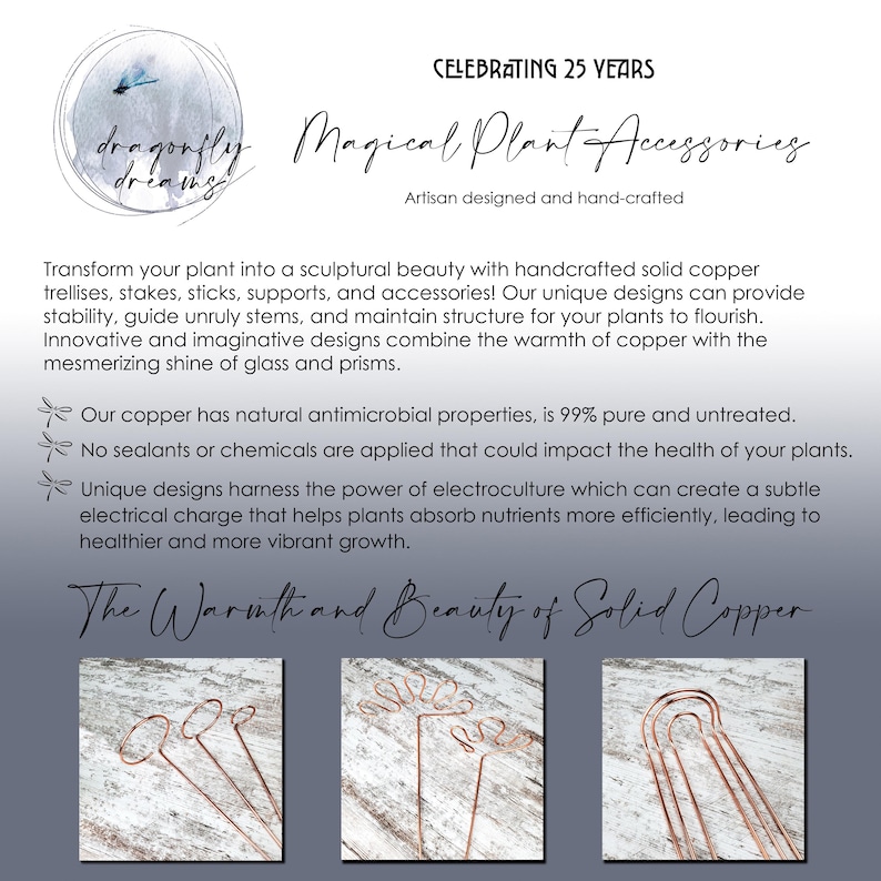 May include: Copper plant accessories, including trellises, stakes, and supports, designed to provide stability and structure for plants. The text "Magical Plant Accessories" is displayed above the image. The text "Celebrating 25 Years" is displayed above the text "Magical Plant Accessories".