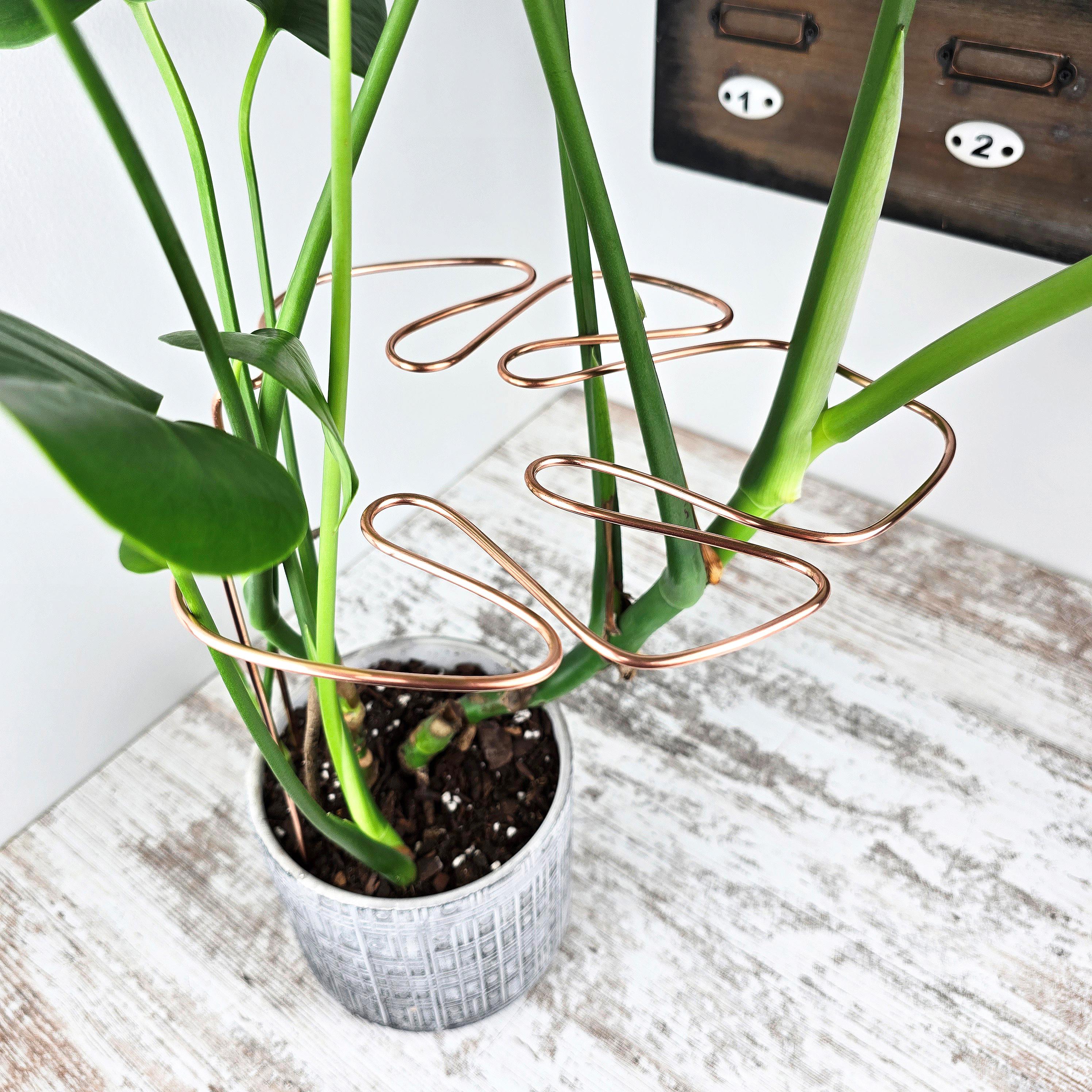 Monstera Leaf Plant Support Stake, Copper Indoor Plant Accessory, Plant  Lover Gifts - Etsy