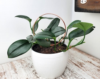 Copper circle plant trellis, indoor plant support stakes, plant and garden accessories, plant mom gifts