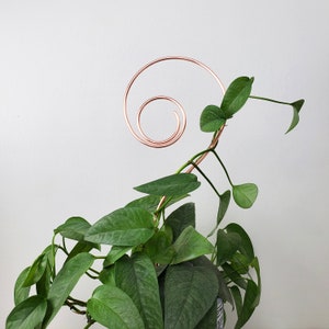 Copper swirl indoor plant stake, houseplant stem and vine support, modern metal trellis, plant gift ideas image 2