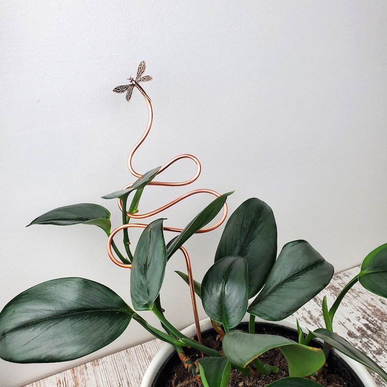Dragonfly Copper Trellis Plant Stake, Decorative Indoor Houseplant Support, Gardening Gifts image 3