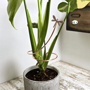 May include: A copper plant support with a dragonfly design is wrapped around a potted plant with green leaves. The plant is in a gray pot with a textured pattern.