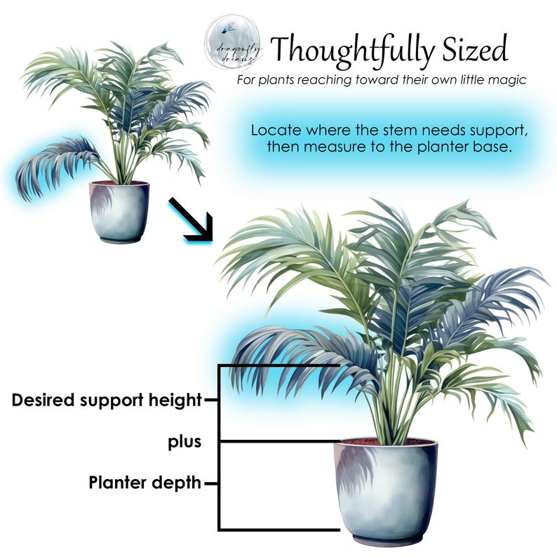 Circle Indoor Trellis Stake for Small Medium Large Plants, Copper Plant Support image 9