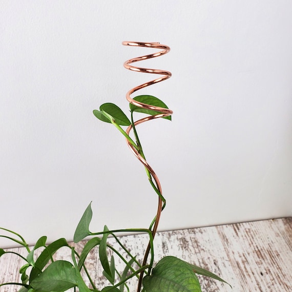 Copper Plant Stick, Plant Stake for House Plants, Unique Plant