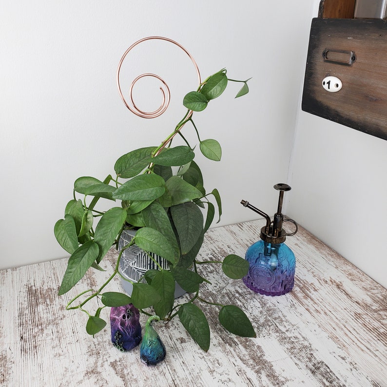 Copper swirl indoor plant stake, houseplant stem and vine support, modern metal trellis, plant gift ideas image 3