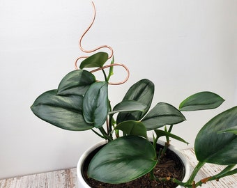 Hand-Sculpted Copper Plant Trellis Stake, Houseplant Support