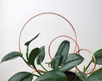 Circle Indoor Trellis Stake for Small Medium Large Plants, Copper Plant Support