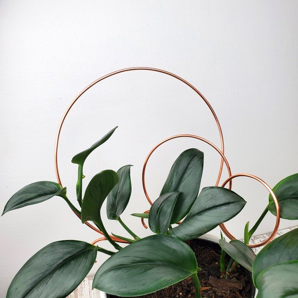 Circle indoor trellis stake for small medium large plants, copper plant support, plant gifts