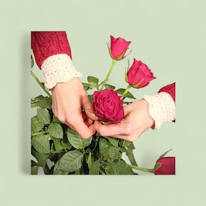 Peut inclure: Mains tenant un bouquet de roses rouges. La personne porte un pull rouge avec des poignets en crochet blancs. Les roses sont en pleine floraison, entourées de feuilles vertes, sur un fond vert clair.