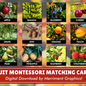 Fruit 3 Teil Passende Karten | Digitaler Download | Montessori inspiriert | Homeschool