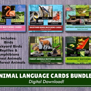 Animal Bundle Matching Language Cards | Digital Download | Montessori Inspired | Homeschool