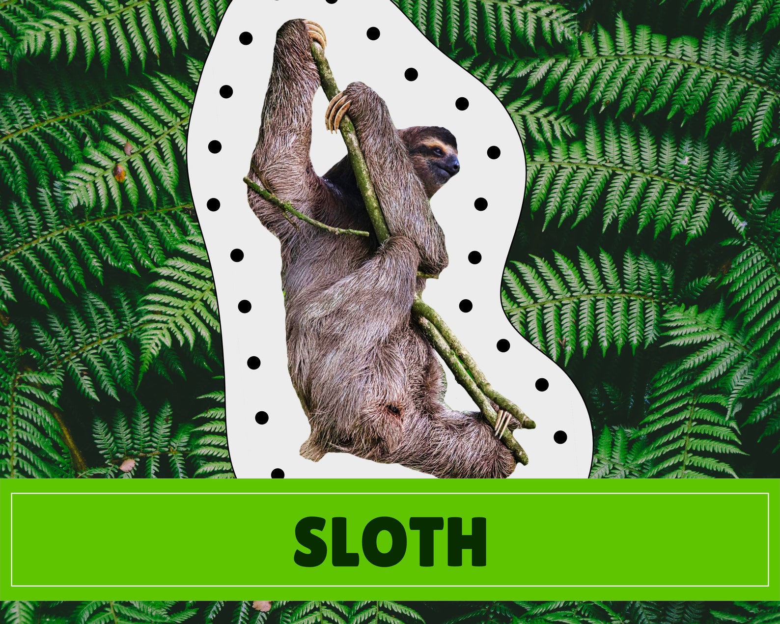 Rainforest Animal Lacing Cards | Digital Download | Montessori Inspired ...