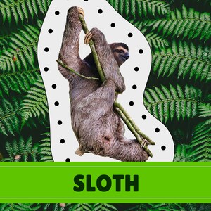Rainforest Animal Lacing Cards | Digital Download | Montessori Inspired ...