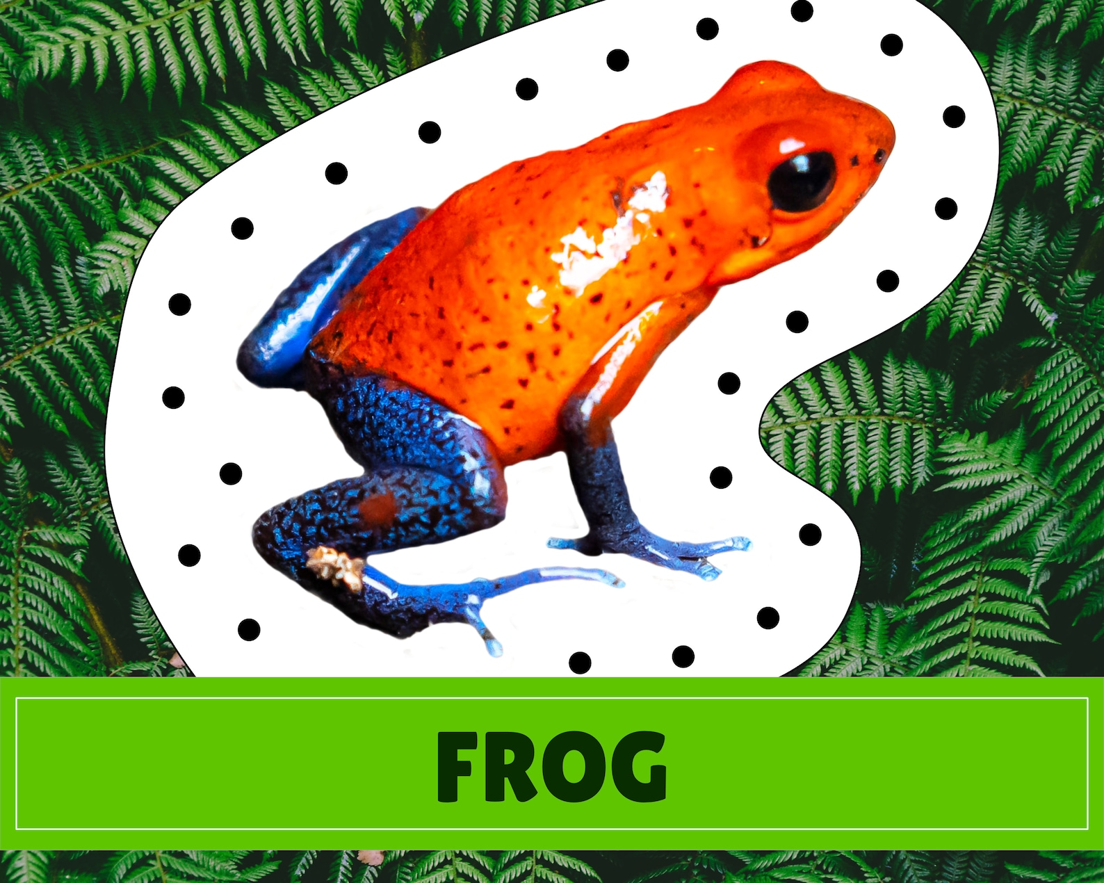 Rainforest Animal Lacing Cards | Digital Download | Montessori Inspired ...