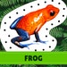 Rainforest Animal Lacing Cards Digital Download Montessori - Etsy