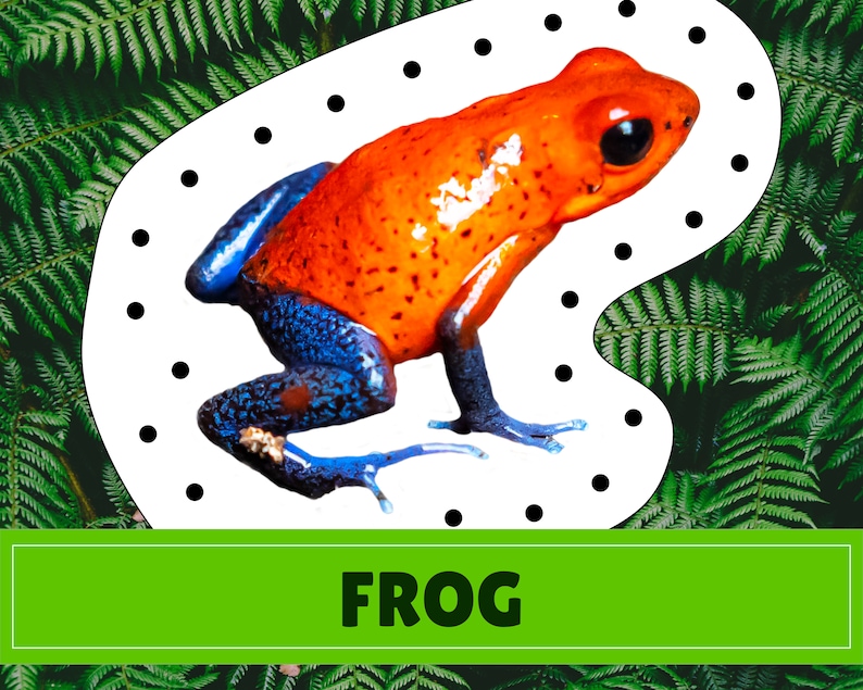 Rainforest Animal Lacing Cards | Digital Download | Montessori Inspired ...