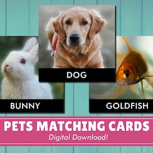 Pets Matching and Identification Cards | Digital Download | Montessori Inspired