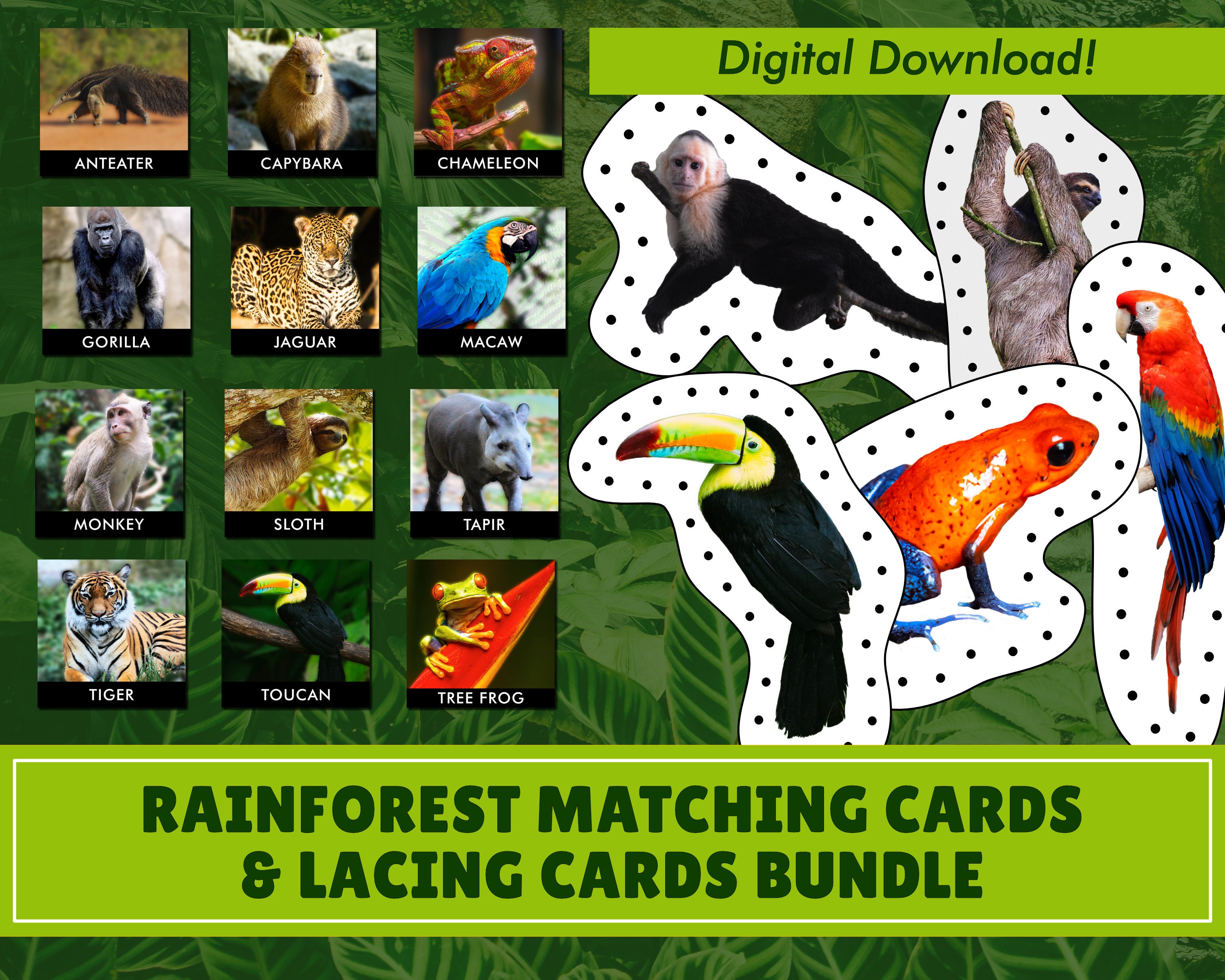 Rainforest Animals Matching Cards and Lacing Cards Bundle Digital