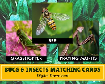 Bugs & Insects Matching Cards | Digital Download | Montessori Inspired | Homeschool