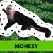 Rainforest Animal Lacing Cards Digital Download Montessori - Etsy