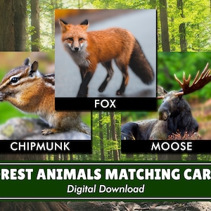 Forest Animals Matching Cards | Digital Download | Montessori Inspired | Homeschool