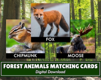 Cartes assorties animaux de la forêt | Téléchargement numérique | Inspiré Montessori | École à la maison